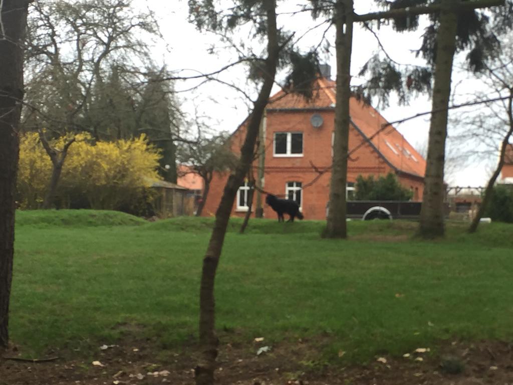 Ferienwohnung Garten Eben Rullstorf Kültér fotó